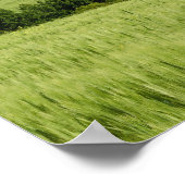 小麦畑と遠くのモンテリオニで、 ポスター (角)