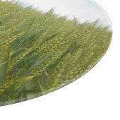 小麦畑のケシのガラス切り盤 カッティングボード (角)