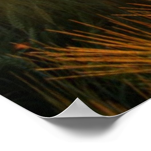 小麦畑の夕焼け ポスター (角)