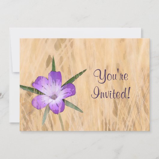 小麦畑の水彩色のコーンコックルフラワー 招待状 (正面)