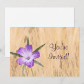 小麦畑の水彩色のコーンコックルフラワー 招待状 (正面/裏面)