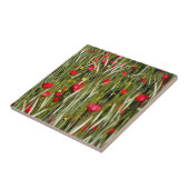 小麦畑の赤絵画いケシ タイル (側面)