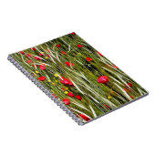 小麦畑の赤絵画いケシ ノートブック (右側)