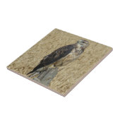 小麦畑のB36鉄のタカ タイル (側面)