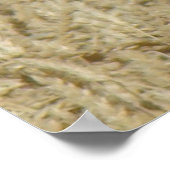 小麦畑のB36麦芽ホーク ポスター (角)