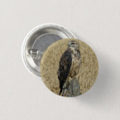 小麦畑のB36麦芽ホーク 缶バッジ (正面&裏面)