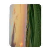 小麦畑への夕日 |ワシントン州 マグネット (縦)
