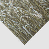 小麦畑ティッシュペーパー 薄葉紙 (詳細)