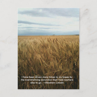 小麦畑祈りの言葉 ポストカード
