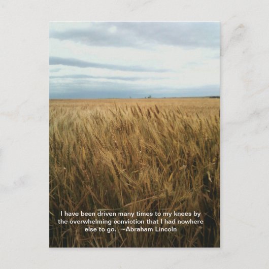 小麦畑祈りの言葉 ポストカード (正面)