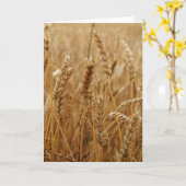 小麦畑 カード (黄色い花)