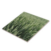 小麦畑 タイル (側面)