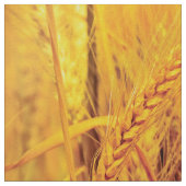 小麦畑 ファブリック (クローズアップ)