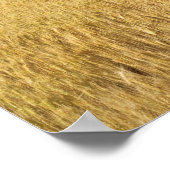 小麦畑 ポスター (角)