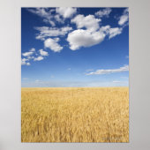 小麦畑 ポスター (正面)