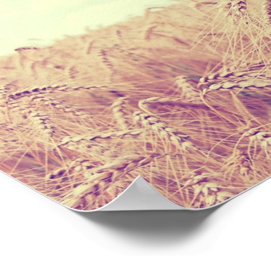 小麦畑 ポスター (角)