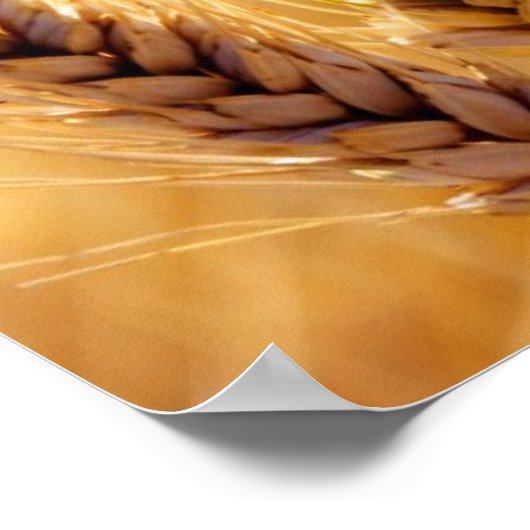 小麦畑 ポスター (角)