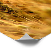 小麦畑 ポスター (角)