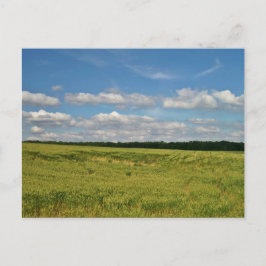 小麦畑 ポストカード
