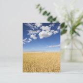 小麦畑 ポストカード (スタンド正面)