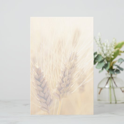 小麦畑 便箋 (スタンド正面)