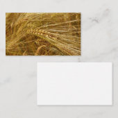 小麦畑。収穫の季節です! ノートカード (正面/裏面)