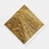 小麦畑。収穫時間だ！ (コーナー)