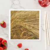 小麦畑。収穫時間だ！ (インサイチュ)