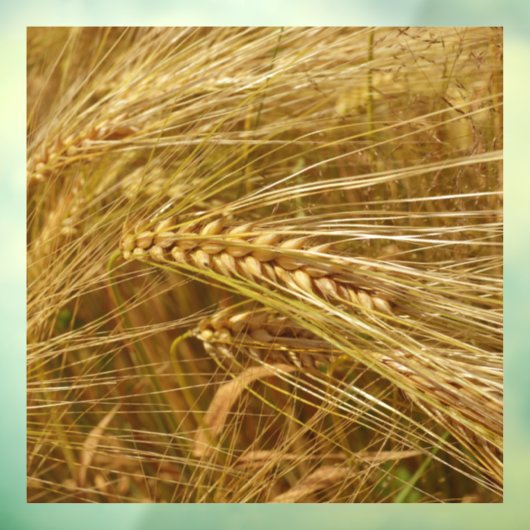 小麦畑。収穫時間だ! ウィンドウサイン (シート3)