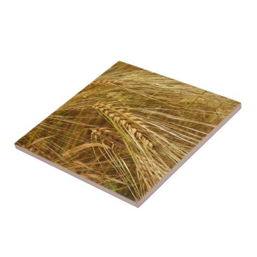 小麦畑。収穫時間だ！ タイル (側面)