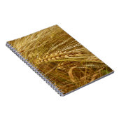 小麦畑。収穫時間だ！ ノートブック (右側)