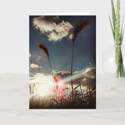 「小麦畑」誕生日カード カード (正面)