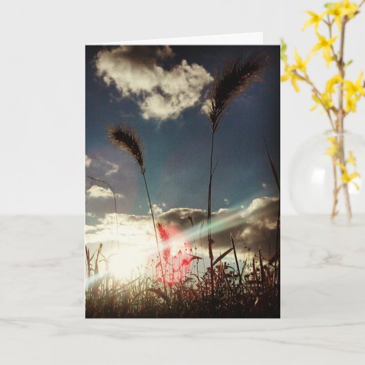 「小麦畑」誕生日カード カード (黄色い花)