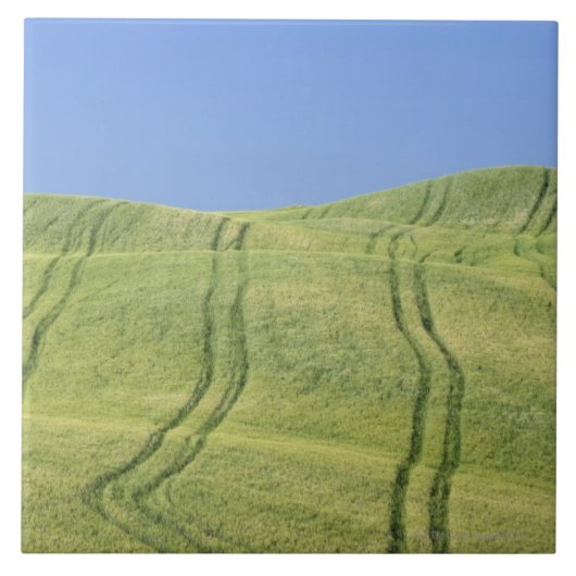 小麦畑、Valのd'Orcia、シエナのトラックを疲れさせて下さい タイル (正面)