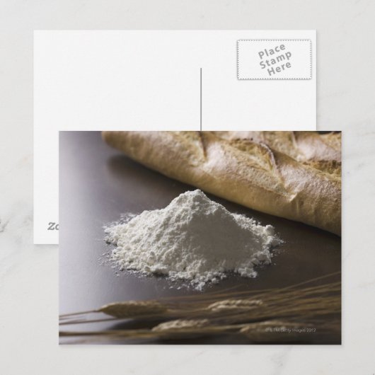 小麦粉、小麦、パン ポストカード (正面/裏面)