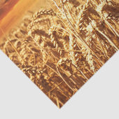 小麦素晴らし畑 薄葉紙 (詳細)