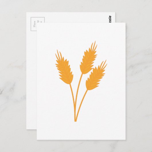 小麦茎 ポストカード (正面/裏面)