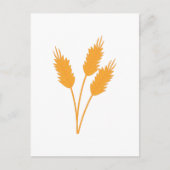 小麦茎 ポストカード (正面)