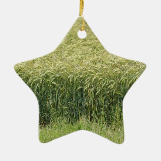 小麦 – おいしい！ セラミックオーナメント (裏面)