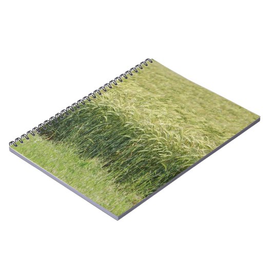 小麦 – おいしい! ノートブック (左側)