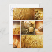 小麦。ハーベストコンセプト。穀類コラージュ ポストカード (正面/裏面)