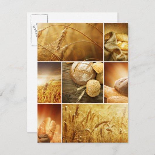 小麦。ハーベストコンセプト。穀類コラージュ ポストカード (正面/裏面)