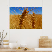 小麦 ポスター (キッチン)