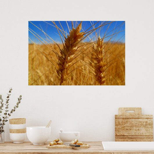 小麦 ポスター (キッチン)