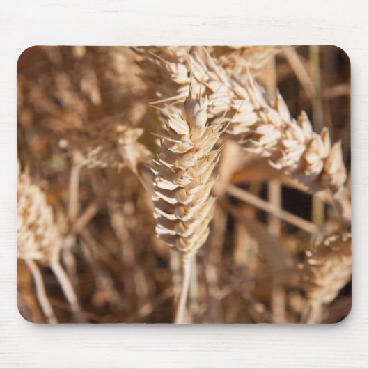 小麦 マウスパッド (正面)