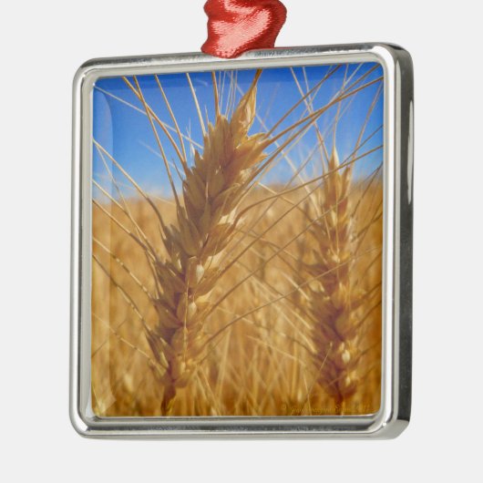 小麦 メタルオーナメント (左)