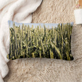 小麦 ランバークッション (ブランケット)