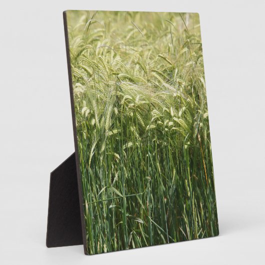 小麦 – 美しい！ フォトプラーク (側面)