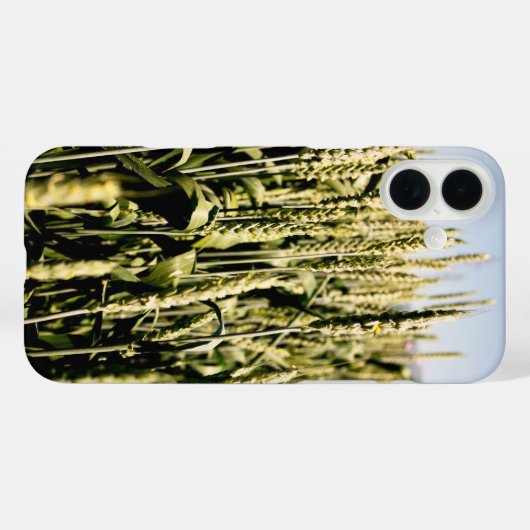 小麦 Case-Mate iPhoneケース (裏面 (横))