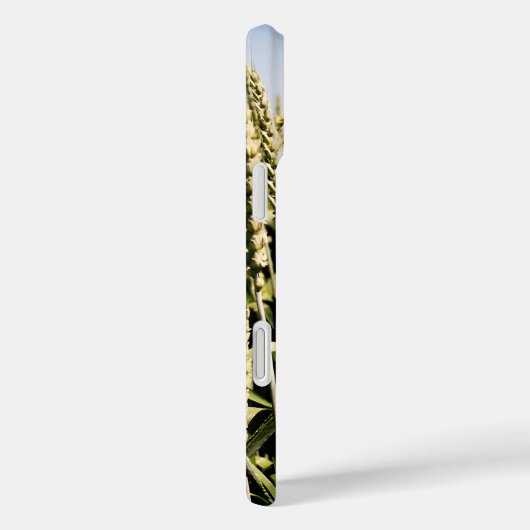 小麦 Case-Mate iPhoneケース (裏面 / 右)